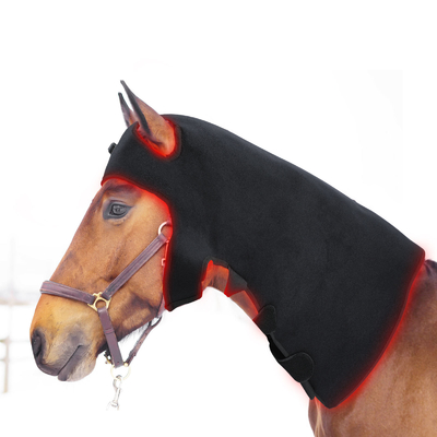 Infrared Light Therapy Horse Lamp Pdt Led Light Machine For Pain Removal