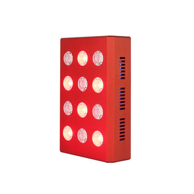 850nm Portable Red Light Therapy Device