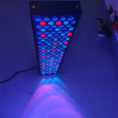 Buy Professional Red Light Therapy Full Body Panels Customized Wavelength Red Light Therapy Devices online manufacture