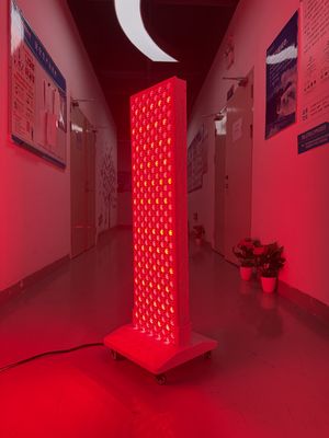 Buy High Power 2000W Red + Near Infrared Light Panel – OEM Factory with Pulse Mode & Brightness Control online manufacture