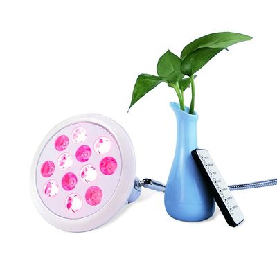 Buy 3 Inch Portable Red Light Therapy Device E27 Near Infrared Lamp online manufacture