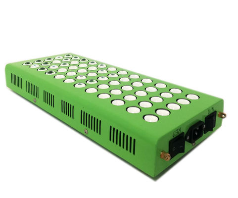 Buy 300w 660nm 850nm Anti Aging Infrared Light Therapy For Knee Pain online manufacture
