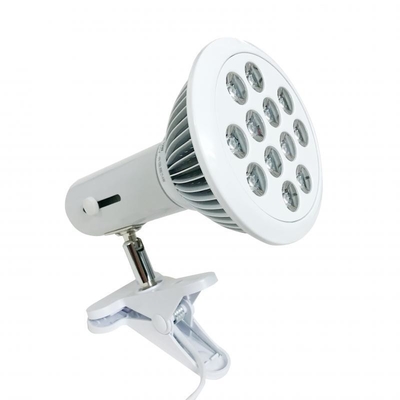 Buy E27 Socket Red Led Light Bulb 36W Therapy Lamp 660nm 850nm Red Light Therapy online manufacture