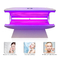 Pain Relief Red LED Light Therapy Bed Photodynamic Machine For Personal Use