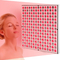 Skin Care LED Infrared Red Light Therapy Machine Wrinkle Removal Light Panel