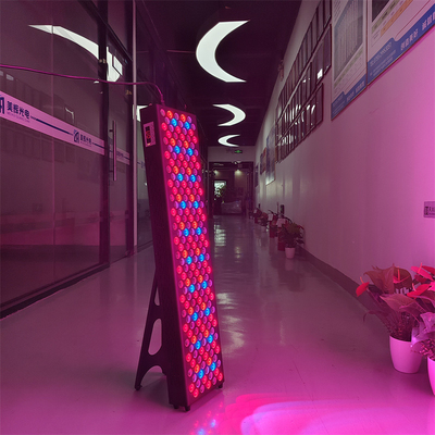 300-3600W Infrared PDT Red Light Therapy Machine with 7 Wavelengths OEM/ODM