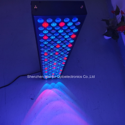 NIR Light Red Light Skin Therapy Devices For Home Use 1000W 9-Colour Spectrum