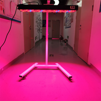 300-6000W Infrared PDT Light Therapy Device OEM/ODM 8 Wavelengths Model Full Body Use