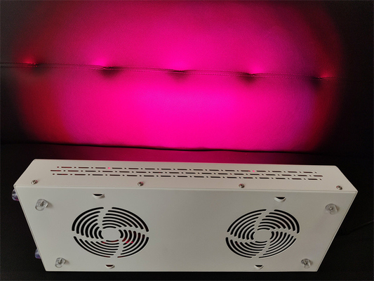 600w Body Care Red Light Therapy Device Red Nir Spectrum Customization For Flawless Skin