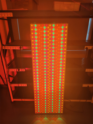 6000w 9-wavelength 535 590 610 630 660 810 830 850 1060Nm Led Light Panel for Full Body