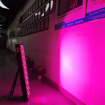 OEM/ODM High Efficiency 7 Wavelengths 480/630/660/670/810/830/850 Infrared Therapy Device