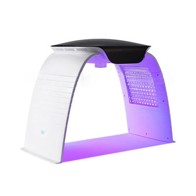 Portable 7 Colors Led Facial Machine Pdt Led Light Therapy Nano Water Spray Phototherapy Beauty Machine with AC110-240V Voltage