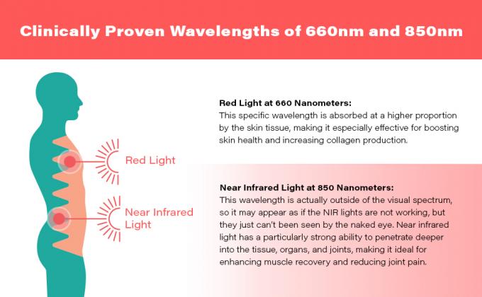 600W Led Red Light Therapy Belt Near Infrared For Skin Rejuvenation 0