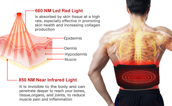 Weight Loss 850nm LED Light Therapy Machine Infrared Light Body Pad Wrap Belt 0