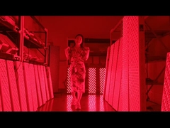 3000W red light therapy panel