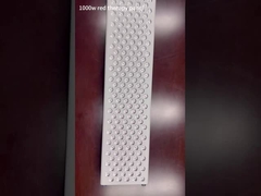 1000W red light therapy panel