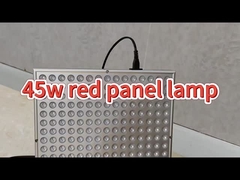 Medical Approved 50W Anti Aging Infrared Light Therapy For Back Pain