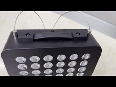 300W Portable LED Light Therapy 630 660 810 850nm Therapy Panel